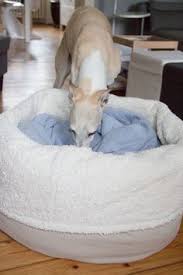 Nahanleitung Hundekuschelsackmeine Kreative Seite Kuschelsack Hund Hunde
