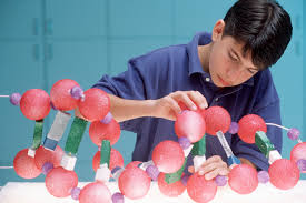 The insect produces honey from plants' sugary secretions (floral nectar) or other processes such as regurgitation and water evaporation. 8th Grade Science Quiz Review Middle School Science