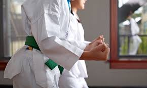kids taekwondo of fort wayne