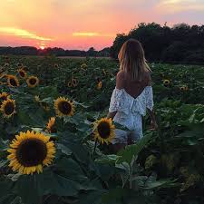 Jessica Stein On Instagram Raise Your Words Not Voice It Is Rain That Grows Flowers Not Thunder Rumi Sunflower Photography Photoshoot Pictures
