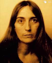 Eastern Woodlands Metis ancestry and history