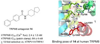 Edit your search or learn more. Structure Based Design Of Novel Biphenyl Amide Antagonists Of Human Transient Receptor Potential Cation Channel Subfamily M Member 8 Channels With Potential Implications In The Treatment Of Sensory Neuropathies Acs Chemical Neuroscience X Mol