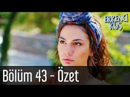 Erkenci Kus 42 Bolum Ozet Youtube