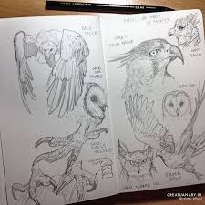 Art Birds Of Prey Logo Creatuanary 01 Birds Of Prey Studies By Rafater Animal Drawings Sketches Bird Drawings