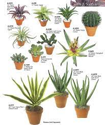 How to prepare cactus cuttings? Artificial Plastic Cactus Plants Rocks Small Cactus Plants Cactus Plants Plants