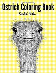 Add a gift receipt for easy returns. Ostrich Coloring Book Collection Of Ostriches In Doodle Patterns To Color Amazon De Mintz Rachel Fremdsprachige Bucher