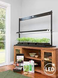 Jade plant is a perfect coffee table centerpiece. Led Sunlite Tabletop Grow Light Garden Starter Kit Gardeners Com Garden Gardenerscom Grow Kit Led Light Grow Lights Led Grow Lights Indoor Grow Lights
