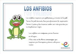 Dibujos para colorear aliens para niños. 14 Ideas De Animales Categorias Animales Animales Vertebrados Los Animales Vertebrados