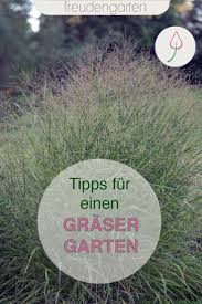 Ziergraser Fur Den Garten Blumenbeetanlegen Mit Grasern Den Garten Gestalten Und Auch Im Winter Sichtsc Garten Gestalten Graser Im Garten Vorgarten Bepflanzen