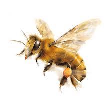 Honey Bee Watercolor Giclee Print Flying Bee In 2021 Dog Watercolor Painting Blue Bird Art Bee