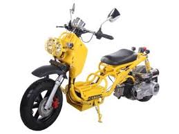 Birdy S Scooters And Atvs Maddog 150 150cc Scooter Free Fully Assembled Available Icebear 150cc Honda Ruckus Clone Scooter Automatic Transmissio 150cc Scooter 150cc Scooters For Sale
