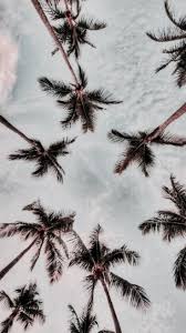 Zomer Achtergrond Summer Background Achtergrond Background Summer Zomer Achtergrond Wallpaper Achtergronden Achtergronden
