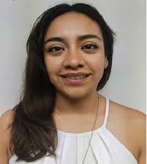 Padrón de inspectores