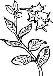 This coloring page may look a little like you if you've happened to hoard plants this year. Growing Plants Picture Coloring Page Coloring Sky