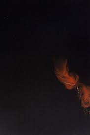 Image result for Dark Brown 1983 Tappan