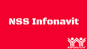 Recuerda que deberás tener la siguiente información. Sacar Nss Infonavit Por Internet 2021 Paso A Paso