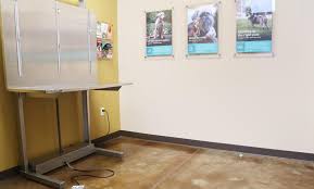 We provide personal and precise care for your pet. Expert Veterinary Care In Downtown Memphis The Pet Hospitals