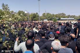پروانه سلحشوری