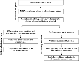 Clinical And Molecular Epidemiology Of Methicillin Resistant