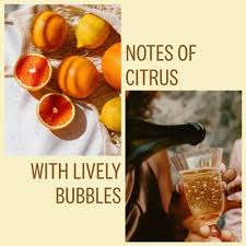 Image result for Vepris elegantissima