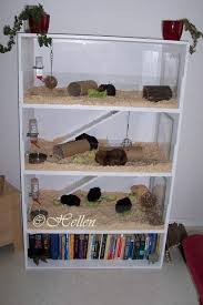 Pin On Guinea Pig Hutches