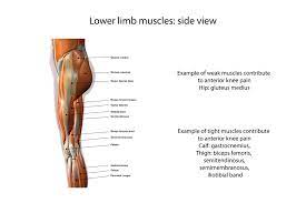 Pin On About Hiking Injuries