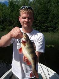 Wann kommt welcher fisch nach cuxhaven? Diese Fische Beissen Bei Mir Am Liebsten An Artikel Besuchschweden De