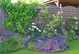 Kletterpflanzen Kletterpflanzen Pflanzen Garten