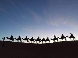On the third day out the camel suddenly dropped dead without warning. Camels Crossing The Sahara Desert At The Crack Of Dawn Accidentalwesanderson