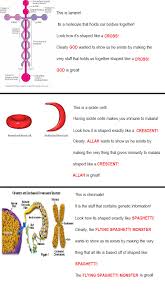 Searched Laminin Posts On Pinterest Never Have I Ever Facepalmed So Much This Is A Good Response To Those Idiots Flying Spaghetti Monster Atheist Atheism