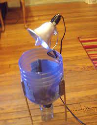 Homemade Berlese Funnel Bugguide Net Diy Science Projects Homemade