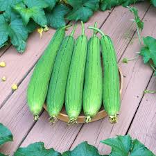 Image result for Luffa