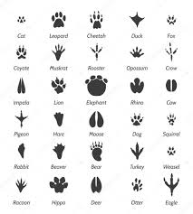300 besten bilder von plottern silhouettes appliques und dog paws. Vektorgrafiken Tierspuren Vektorbilder Tierspuren Depositphotos