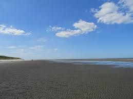 Unser ziel ist es, verständnis und faszination für das wattenmeer zu wecken. File Nationalpark Niedersachsisches Wattenmeer Spiekeroog Watt 34 Jpg Wikipedia