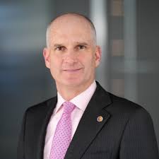 Ireland's newest visitor attraction and also the highest slide.....Beyond  the Trees! 📌 Avondale, County Wicklow 📸 @philstagram1984