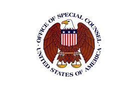 Rules Restrict Political Activity By Dod Personnel Article The United States Army