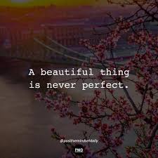 Positivemindsetdaily On Instagram The Reality Is That Nothing Is Able To Attain Perfection But Everythin Good Life Quotes Life Quotes Inspirational Quotes