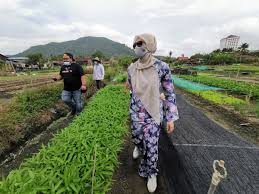 The predecessor of the sdgs, the millennium. Yb Nurul Izzah Anwar Twitter àªªàª° Kekait Penglokalisasian Matlamat Pembangunan Lestari Sdg Kumpulan Rentas Parti Parlimen Malaysia Sustainable Development Goals Krppm Sdg Telah Melaksanakan Projek Perintis Di 10 Kawasan Parlimen 7