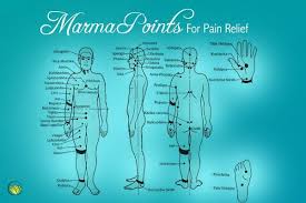 Pin On Medicine Ayurvedic