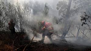 O melhor batman cavaleiro das trevas: El Incendio Del Algarve Avanza Por Una Zona De Gran Valor Ambiental