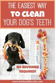The Easiest Way To Clean Dog S Teeth No Brushing Required Dog Teeth Cleaning Dog Teeth Brushing Dogs Teeth