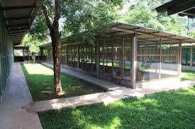 Bukan Sekadar Rumah Reban Ayam Dan Pakar Rumah Kontena Cabin Semenanjung Ecotec Synergy Group Facebook