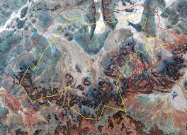 Image result for Sporobolus bechuanicus