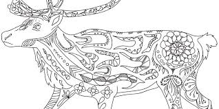 Durable, lightweight and silky feel; Colouring Pages Canadian Museum Of Nature
