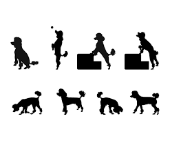 Download Poodle Silhouette Set Svg Ai Vector Uidownload