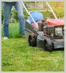 Confers some lawn with some vital nutrients. Lawn Mowing In Adelaide Lawn Care Services Like Mowing