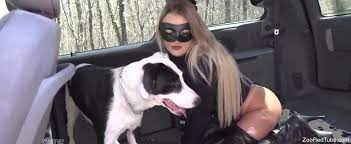 Free dog sex videos