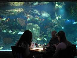 Houston Aquarium Restaurant I Love Eating Here