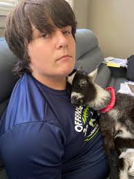 why are goats refusing to eat adm feed?