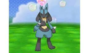 But after a few seconds the framerate goes. Pokemon X Y Pokemon Amie
